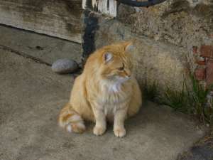 Grosses bild anzeigen 20060425 132.jpg